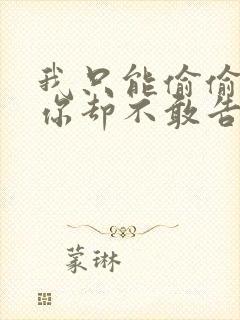 我只能偷偷的想你却不敢告诉你