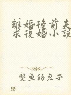 离婚后前夫哭着求复婚小说全部章节