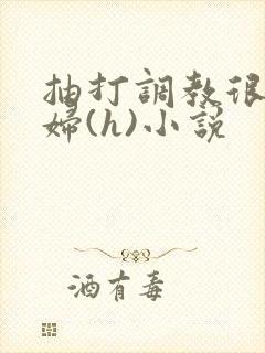 抽打调教很虐贱妇(h)小说