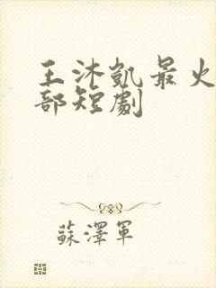 王沐凯最火的5部短剧