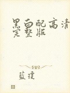 黑白配高清免费完整版