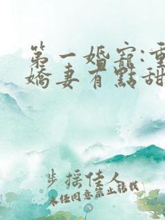 第一婚宠:重生娇妻有点甜