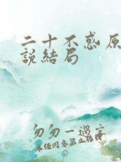 二十不惑原著小说结局