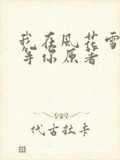 我在风花雪月里等你原著