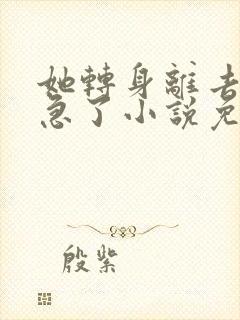 她转身离去,我急了小说免费阅读