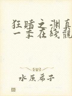 狂赌之渊真人第一季在线观看