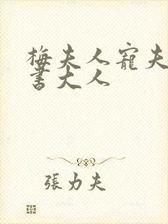 梅夫人宠夫日常书大人