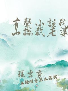 有声小说我的冰山总裁老婆