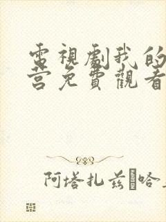 电视剧我的特一营免费观看