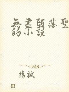 无尽堕落圣采儿的小说