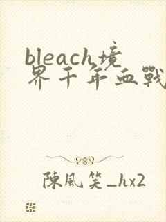 bleach境界千年血战篇