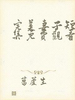 完美妻子短剧全集免费观看高清