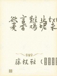 欲言难止txt麦香鸡呢未删减