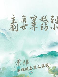 主角穿越到刑侦剧世界的小说