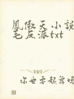 凤傲天小说里黄毛反派txt