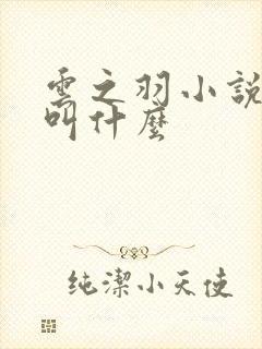 云之羽小说原著叫什么