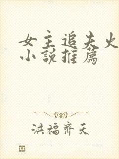 女主追夫火葬场小说推荐