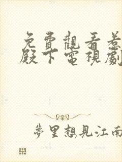 免费观看惹上冷殿下电视剧