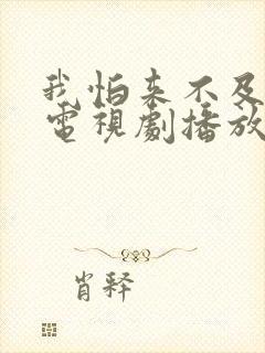 我怕来不及全集电视剧播放