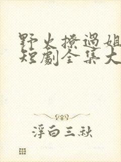 野火撩过姐姐心短剧全集大结局