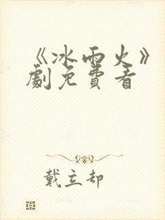 《冰雨火》电视剧免费看