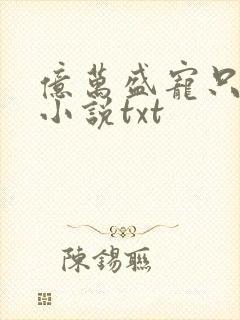 亿万盛宠只为你小说txt