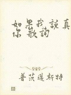 如果我说真的爱你 歌词