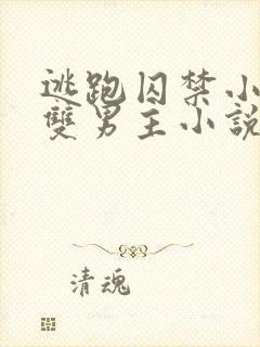 逃跑囚禁小少爷双男主小说推荐完结文