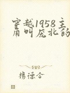 穿越1958主角叫庞北的小说