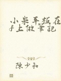 小米平板在pdf上做笔记