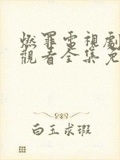 燃罪电视剧在线观看全集免费播放