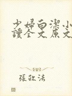 少妇白洁小说阅读全文原文