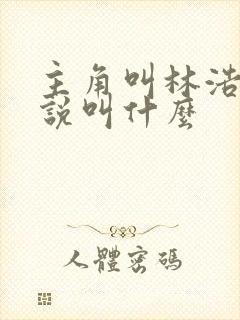 主角叫林浩的小说叫什么