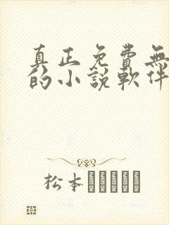 真正免费无广告的小说软件