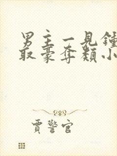 男主一见钟情强取豪夺类小说