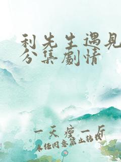 利先生遇见爱情分集剧情