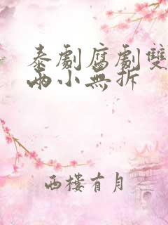 泰剧腐剧双男主两小无拆