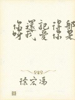 你还记得那过去呀我爱你是什么歌