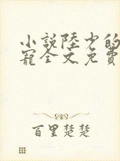 小说陆少的心尖宠全文免费阅读