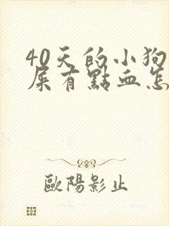 40天的小狗拉屎有点血怎么回事