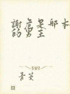 谢危是哪本小说的男主