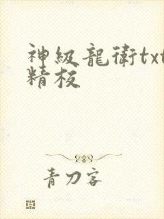 神级龙卫txt精校