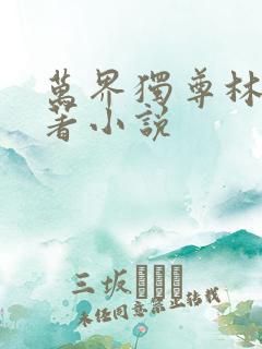 万界独尊林枫原著小说