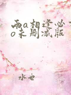 两a相逢必有一o未删减版