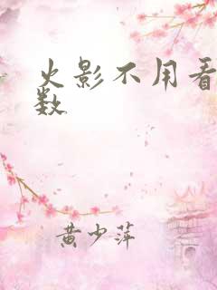 火影不用看的集数