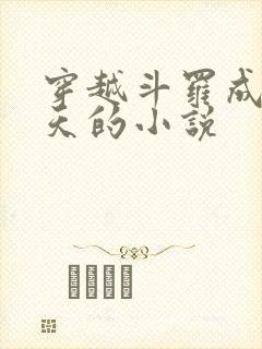穿越斗罗成为帝天的小说
