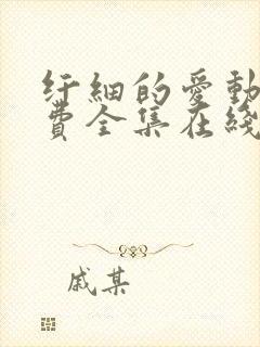 纤细的爱动漫免费全集在线观看