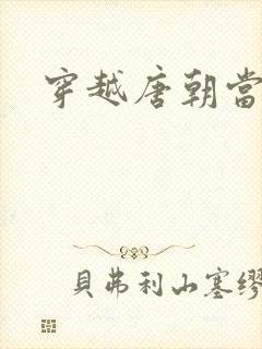 穿越唐朝当王爷