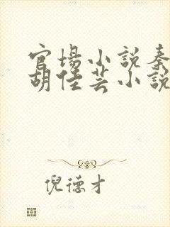 官场小说秦峰和胡佳芸小说