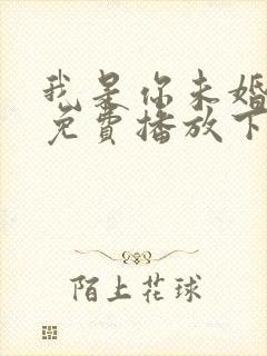 我是你未婚全集免费播放下载